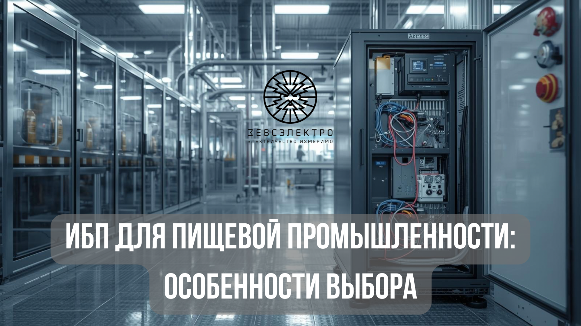 ИБП для пищевой промышленности.png.png